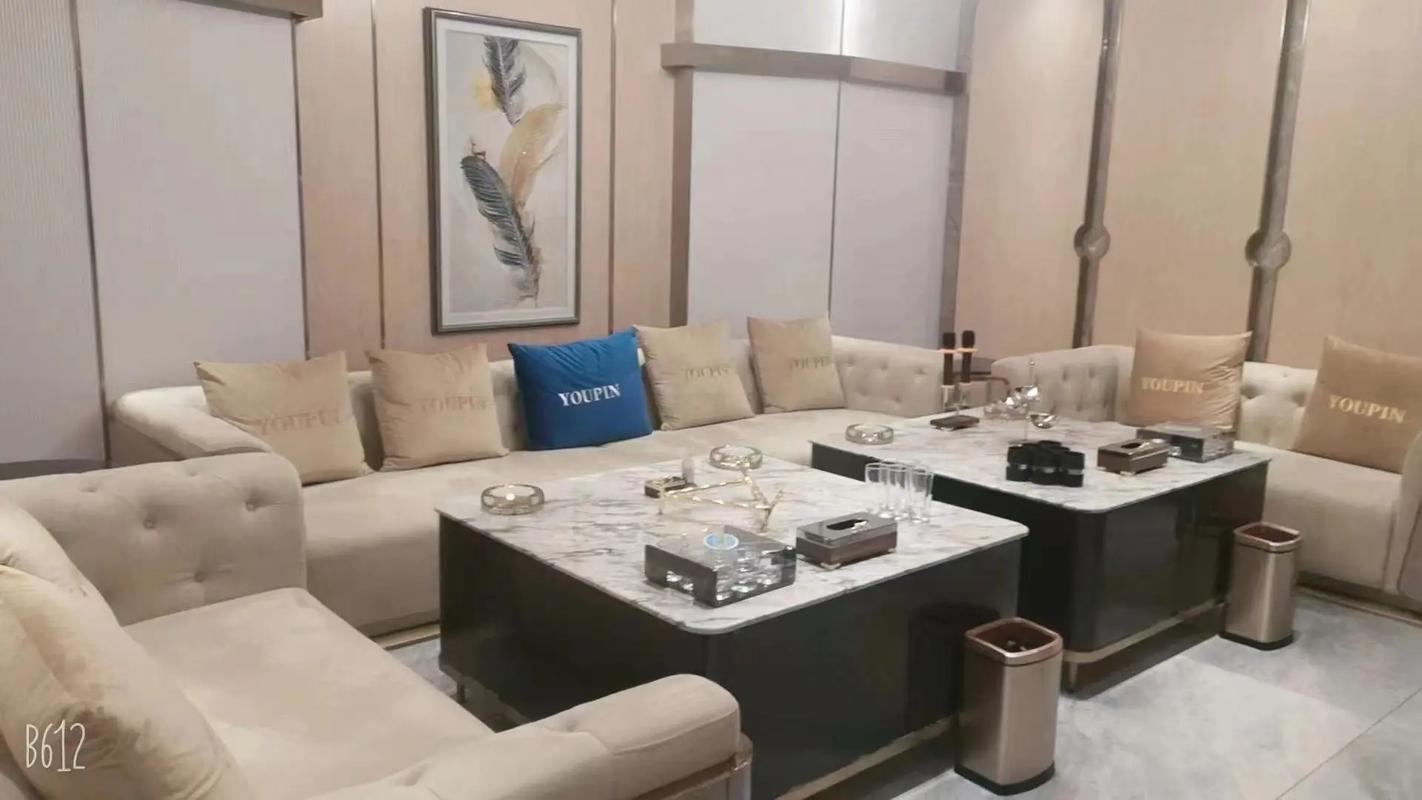 邢台商务KTV解析-临城县ktv预订